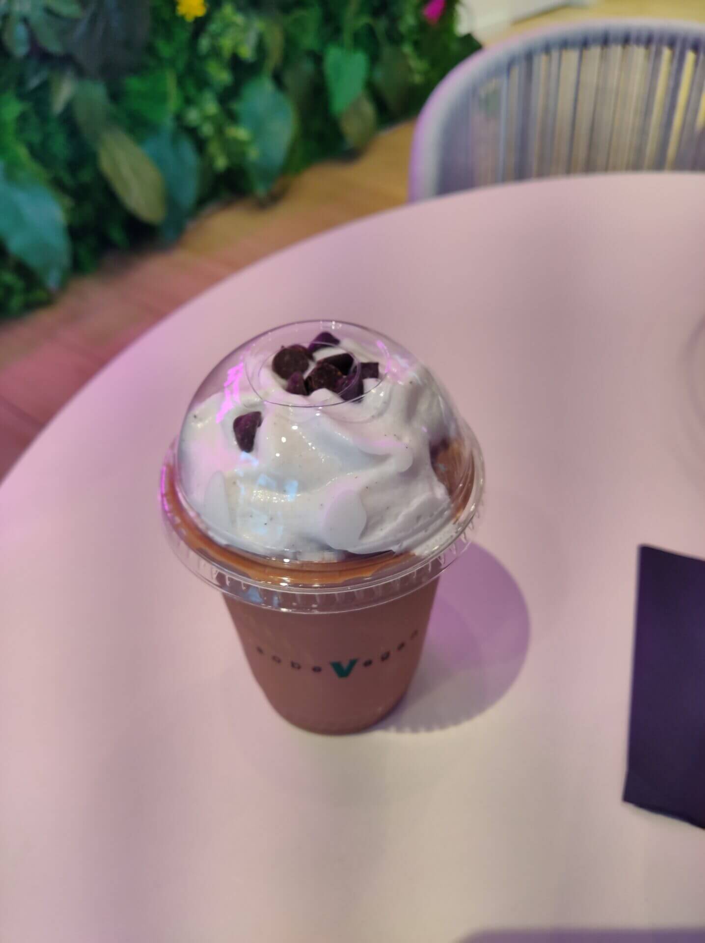 The FL Vegan - SoBe Vegan Fort Lauderdale