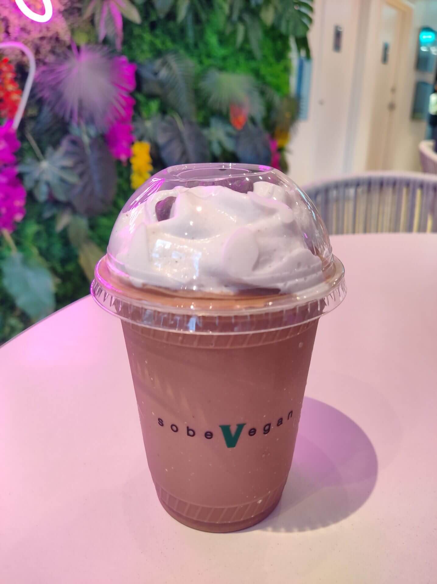 The FL Vegan - SoBe Vegan Fort Lauderdale